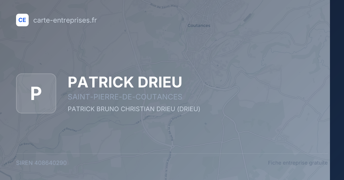 PATRICK DRIEU — 408640290 — fiche entreprise
