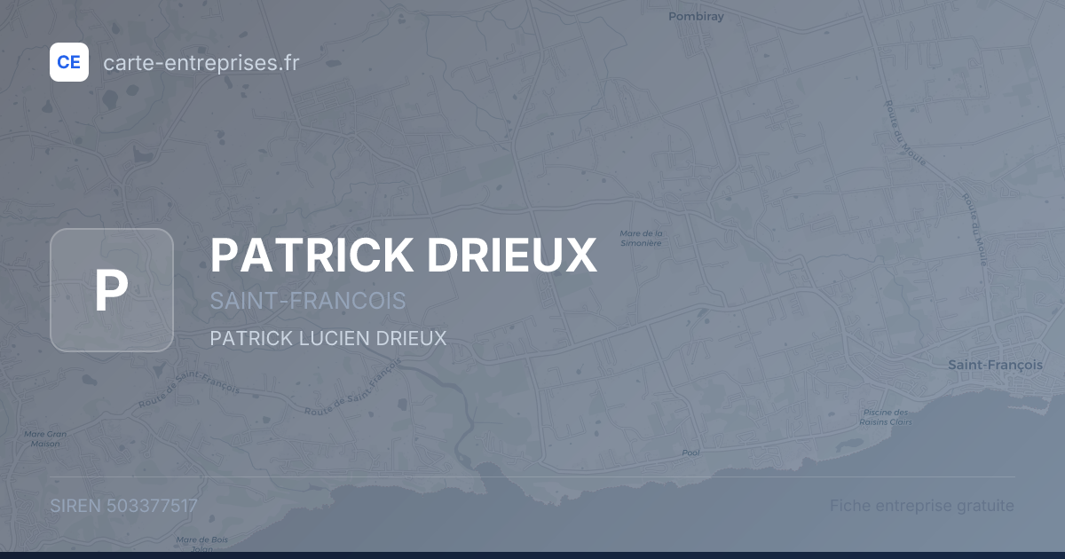 PATRICK DRIEUX — 503377517 — fiche entreprise