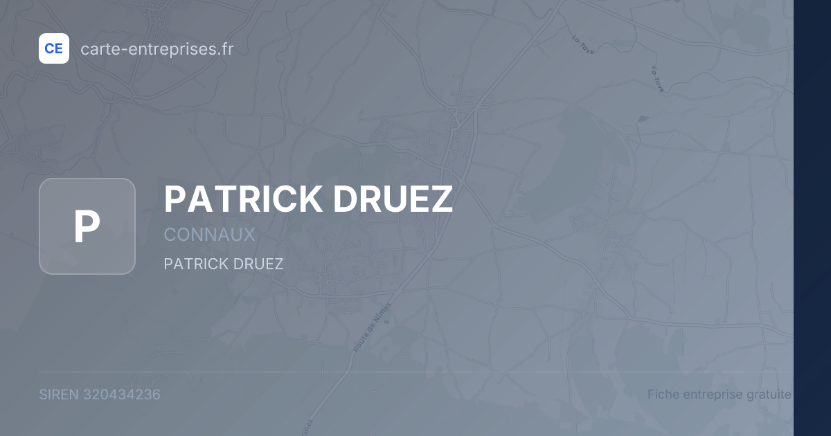 PATRICK DRUEZ — 320434236 — fiche entreprise