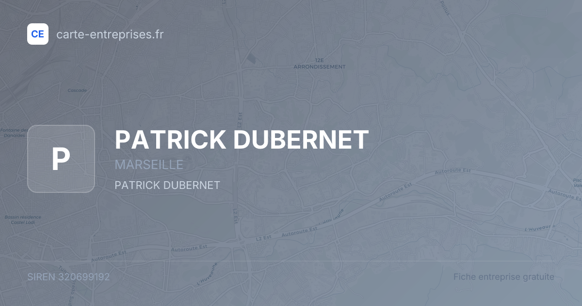 PATRICK DUBERNET — 320699192 — fiche entreprise
