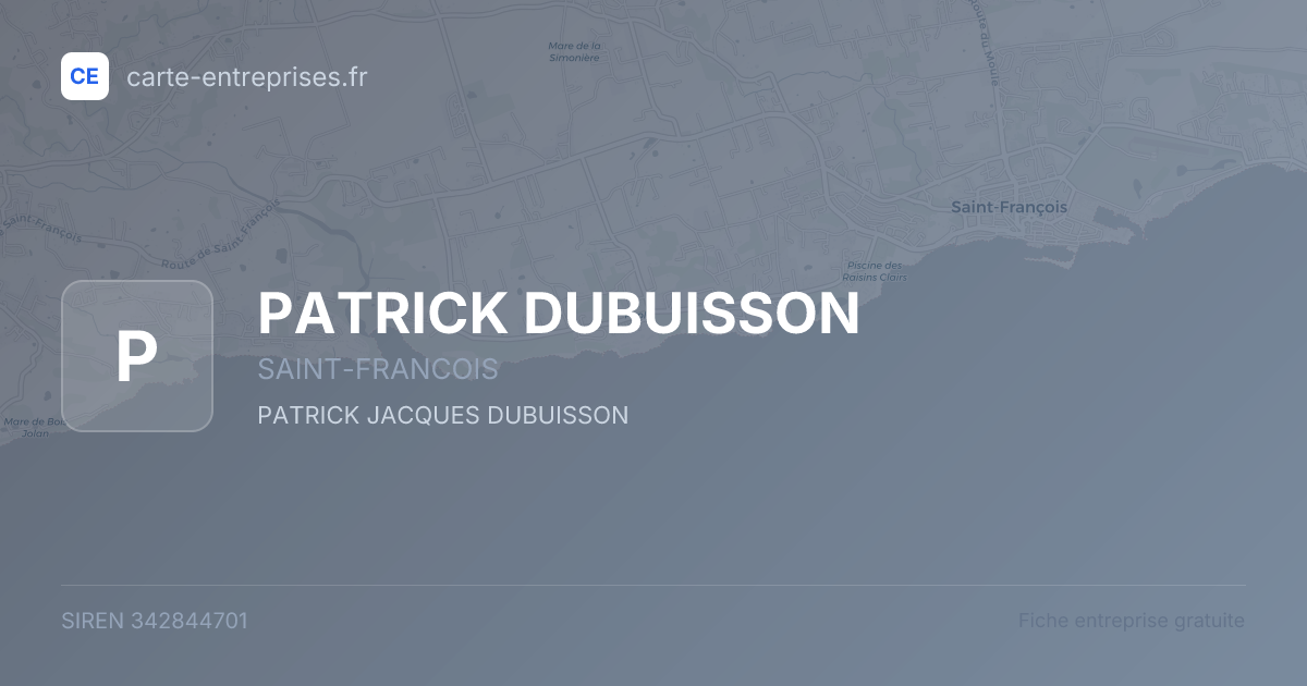 PATRICK DUBUISSON — 342844701 — fiche entreprise