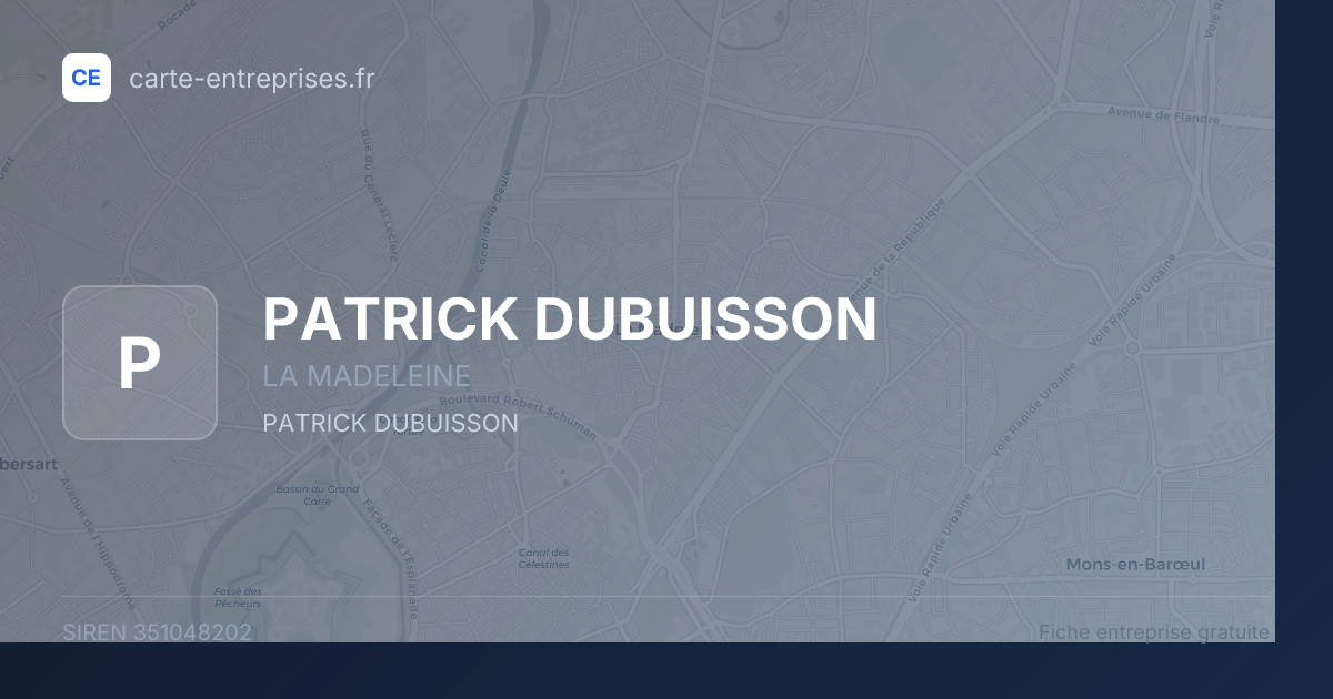 PATRICK DUBUISSON — 351048202 — fiche entreprise