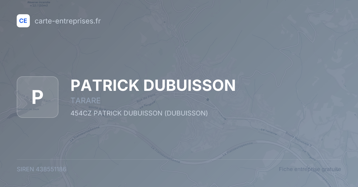 PATRICK DUBUISSON — 438551186 — fiche entreprise