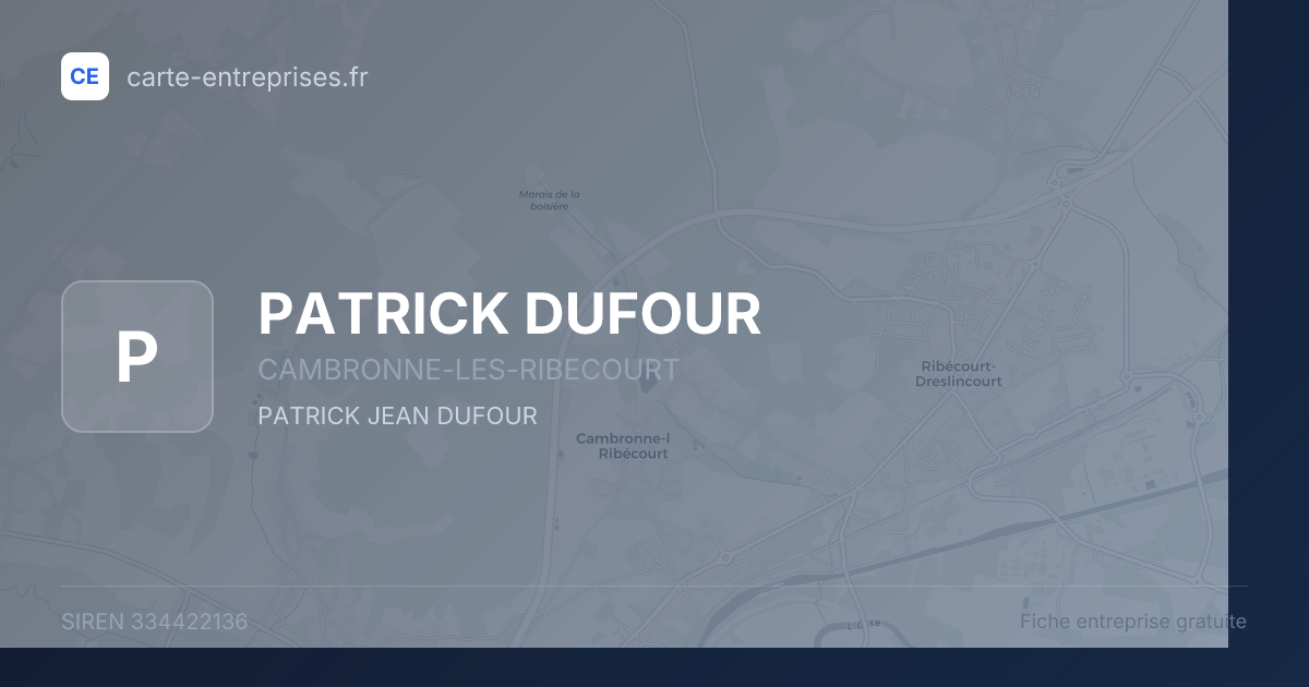 PATRICK DUFOUR — 334422136 — fiche entreprise