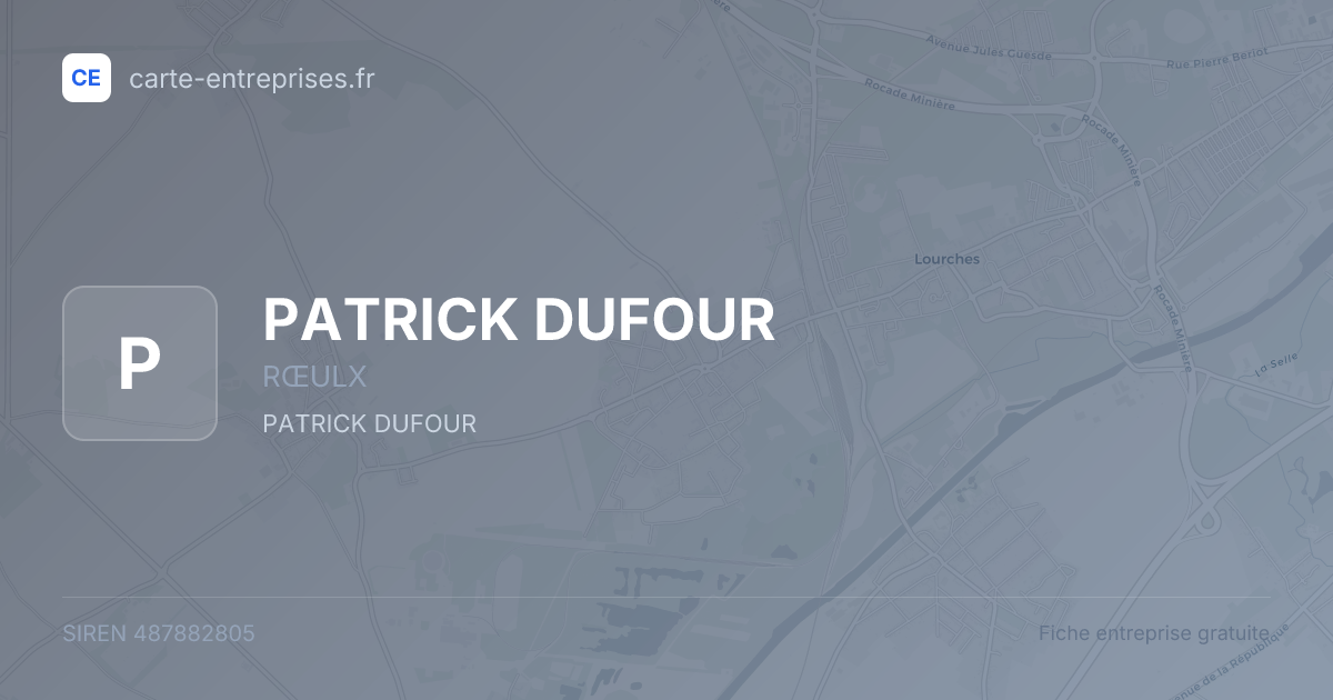 PATRICK DUFOUR — 487882805 — fiche entreprise