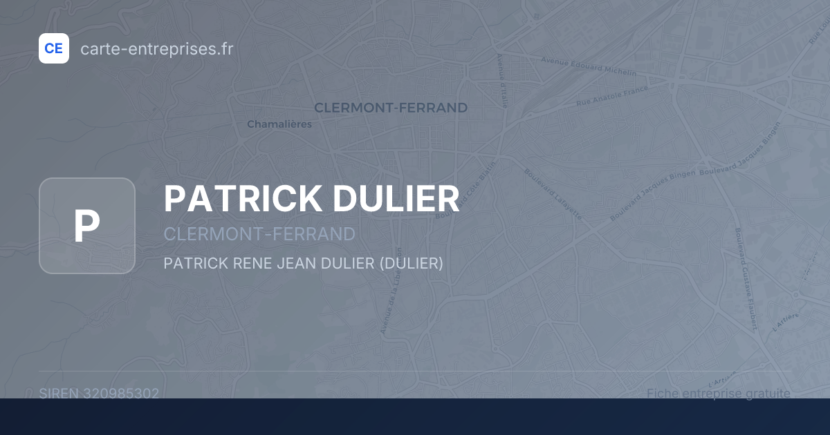 PATRICK DULIER — 320985302 — fiche entreprise