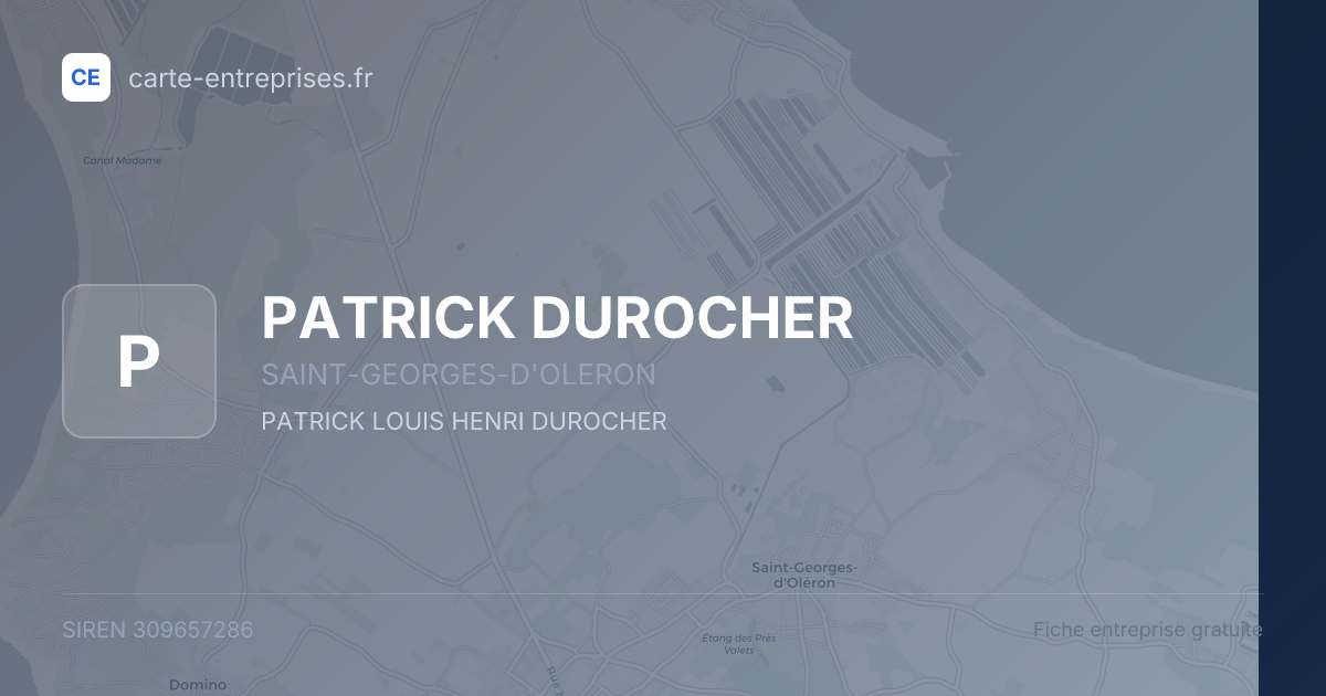 PATRICK DUROCHER — 309657286 — fiche entreprise
