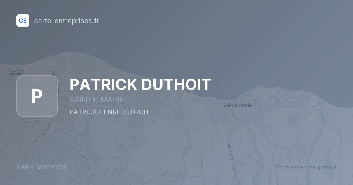 PATRICK DUTHOIT — 380516278 — fiche entreprise