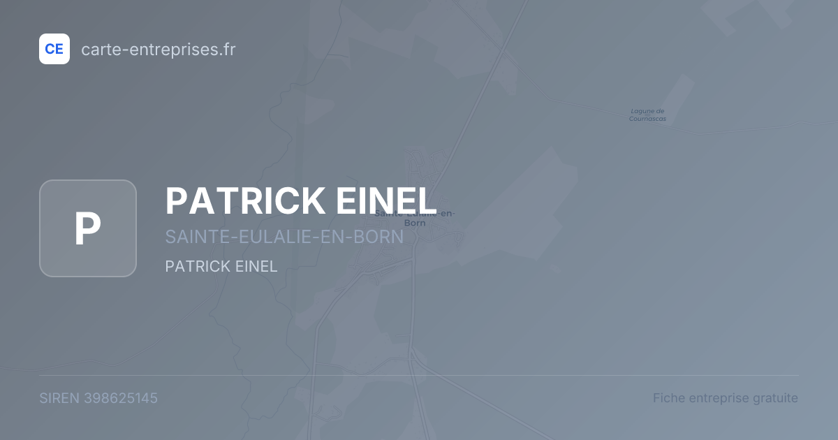 PATRICK EINEL — 398625145 — fiche entreprise