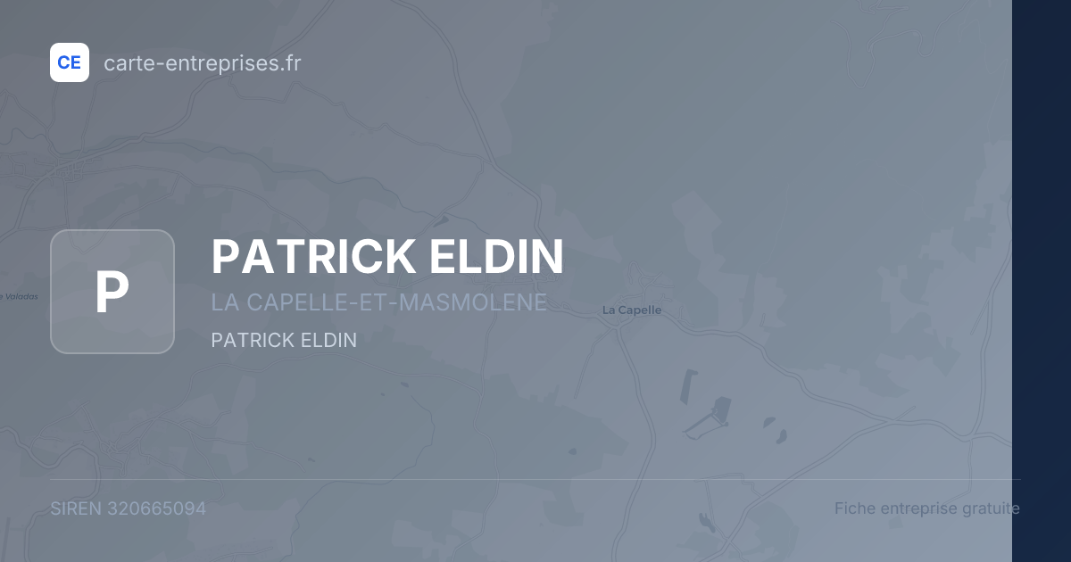PATRICK ELDIN — 320665094 — fiche entreprise