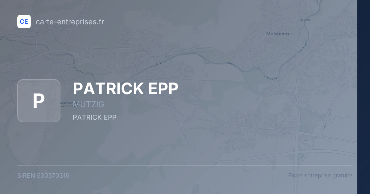 PATRICK EPP — 530570316 — fiche entreprise