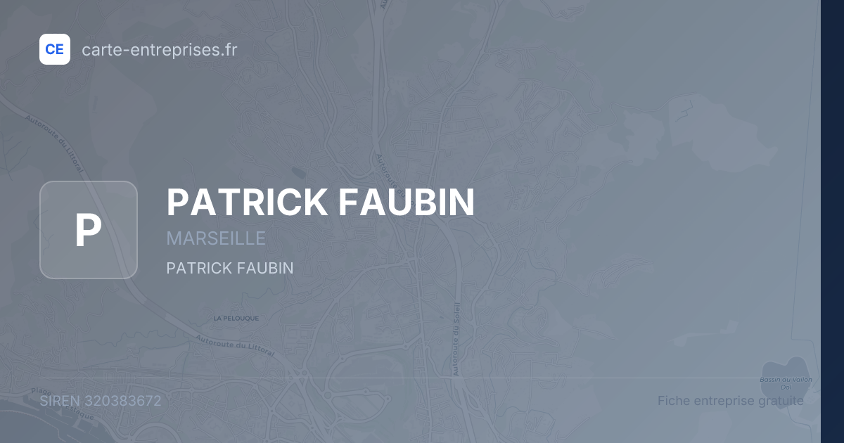 PATRICK FAUBIN — 320383672 — fiche entreprise