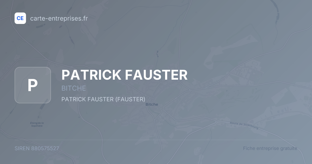 PATRICK FAUSTER — 880575527 — fiche entreprise