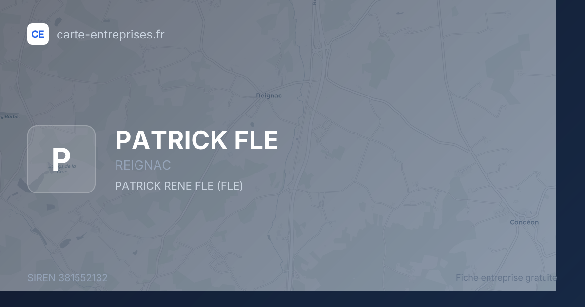PATRICK FLE — 381552132 — fiche entreprise
