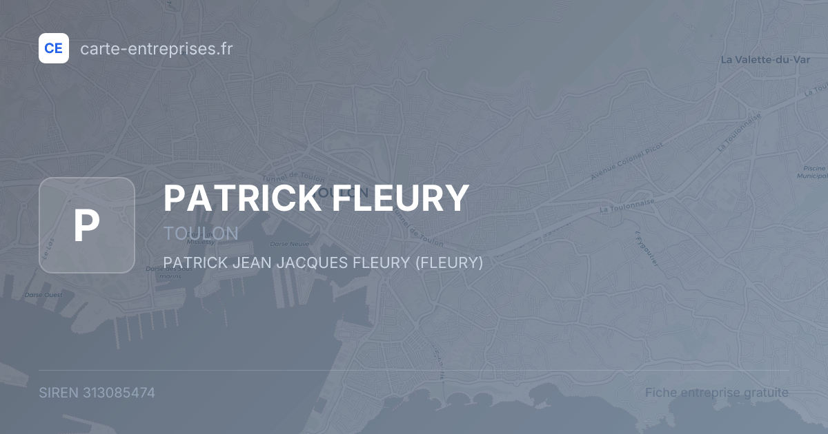 PATRICK FLEURY — 313085474 — fiche entreprise