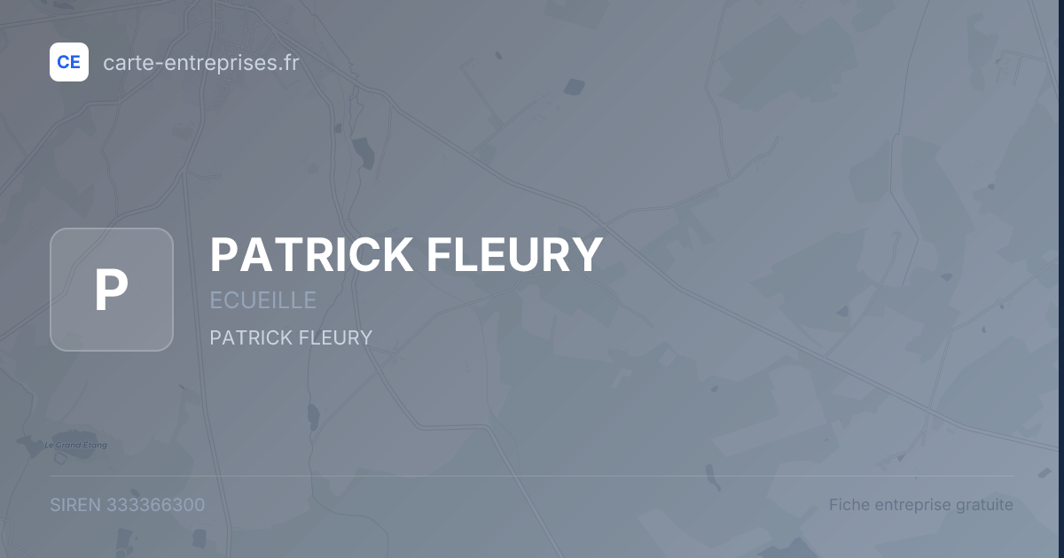 PATRICK FLEURY — 333366300 — fiche entreprise