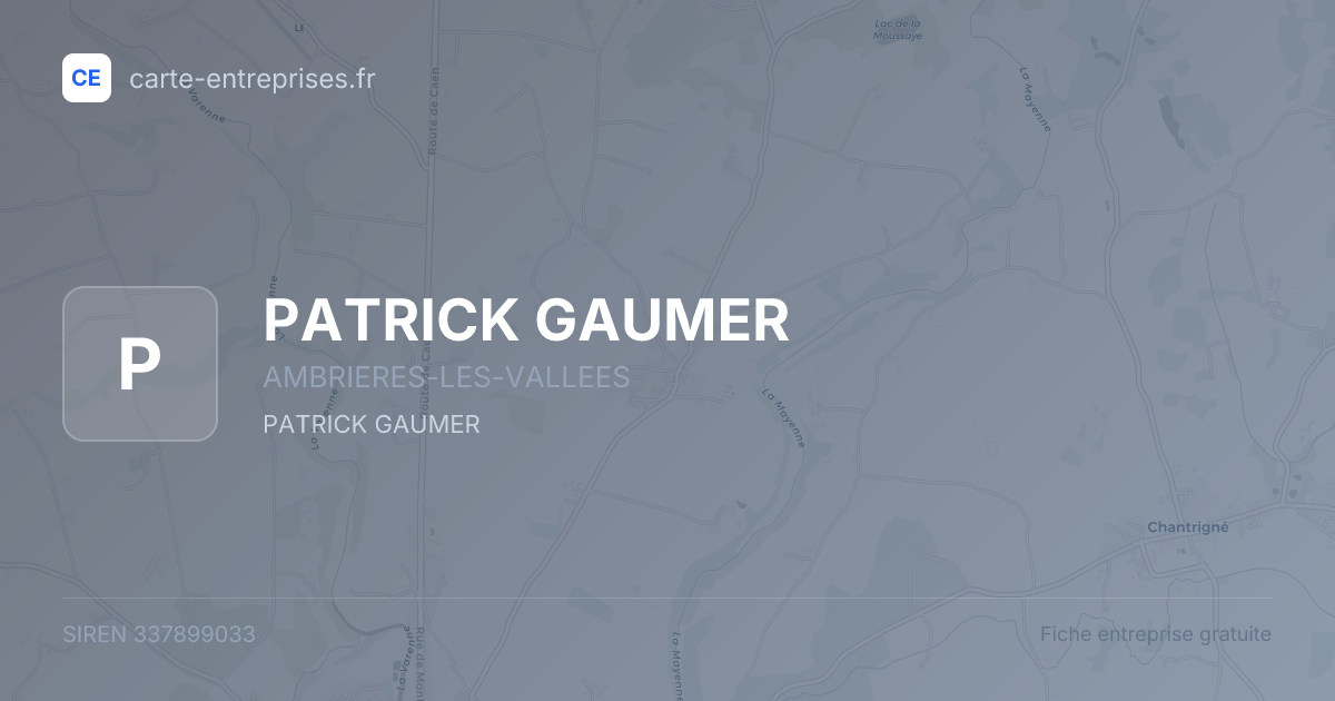 PATRICK GAUMER — 337899033 — fiche entreprise