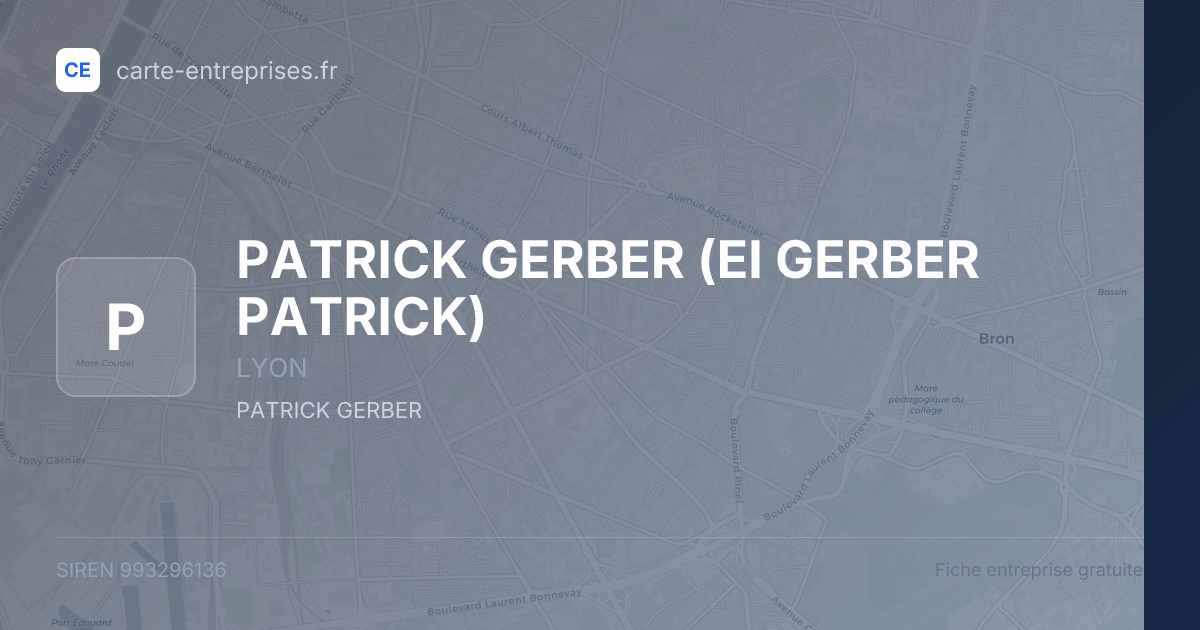 PATRICK GERBER (EI GERBER PATRICK) — 993296136 — fiche entreprise