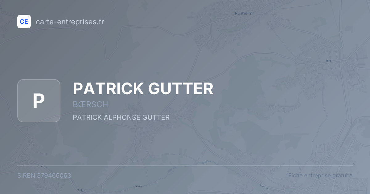 PATRICK GUTTER — 379466063 — fiche entreprise