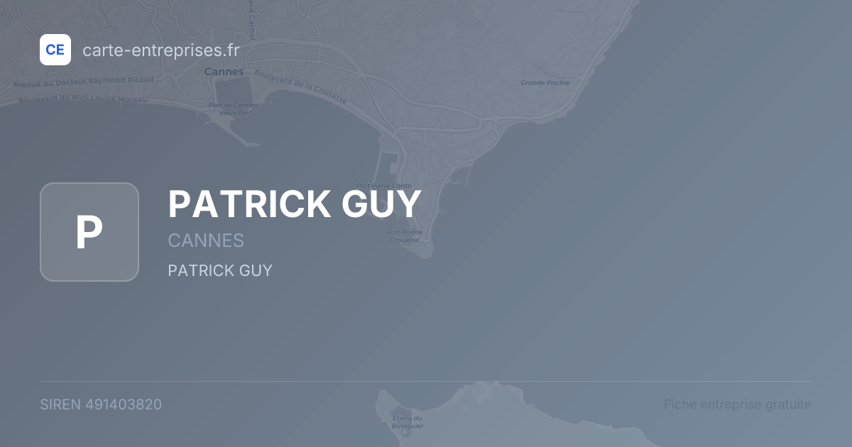 PATRICK GUY — 491403820 — fiche entreprise