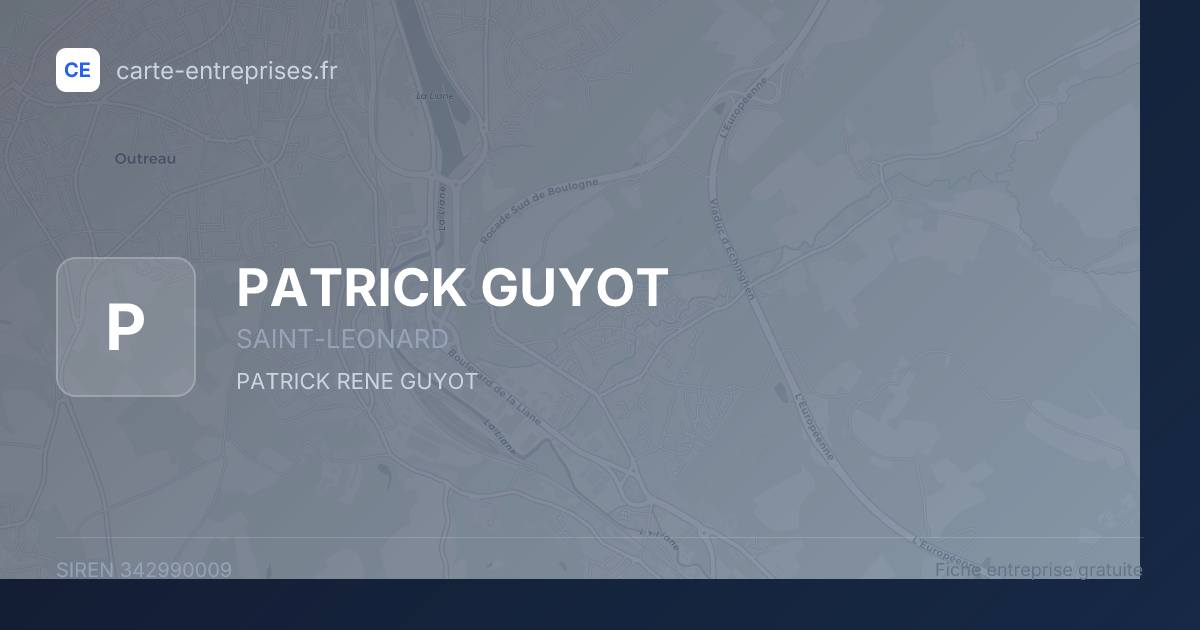 PATRICK GUYOT — 342990009 — fiche entreprise