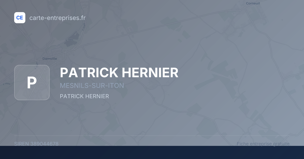 PATRICK HERNIER — 389044678 — fiche entreprise