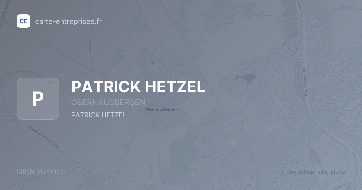 PATRICK HETZEL — 313491524 — fiche entreprise