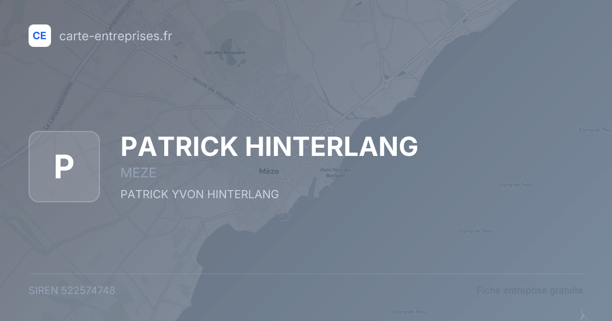 PATRICK HINTERLANG — 522574748 — fiche entreprise