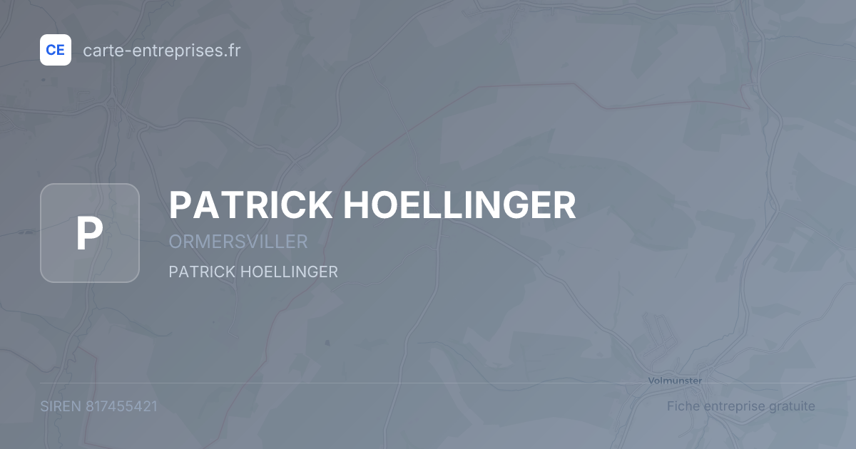 PATRICK HOELLINGER — 817455421 — fiche entreprise