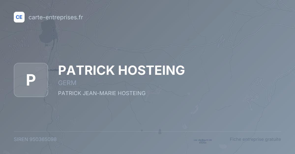 PATRICK HOSTEING — 950365098 — fiche entreprise