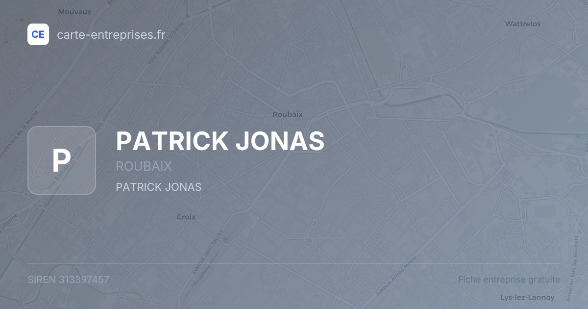 PATRICK JONAS — 313397457 — fiche entreprise