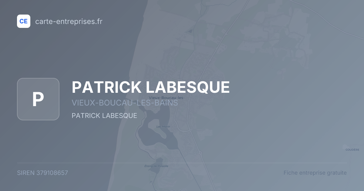PATRICK LABESQUE — 379108657 — fiche entreprise