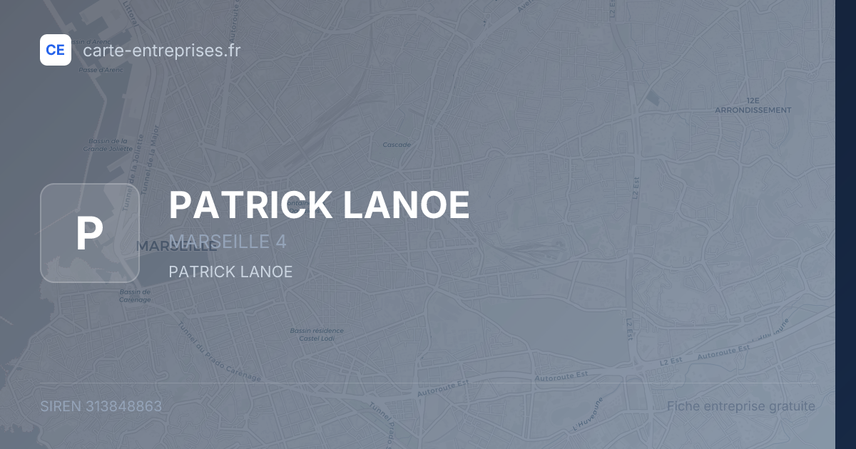 PATRICK LANOE — 313848863 — fiche entreprise