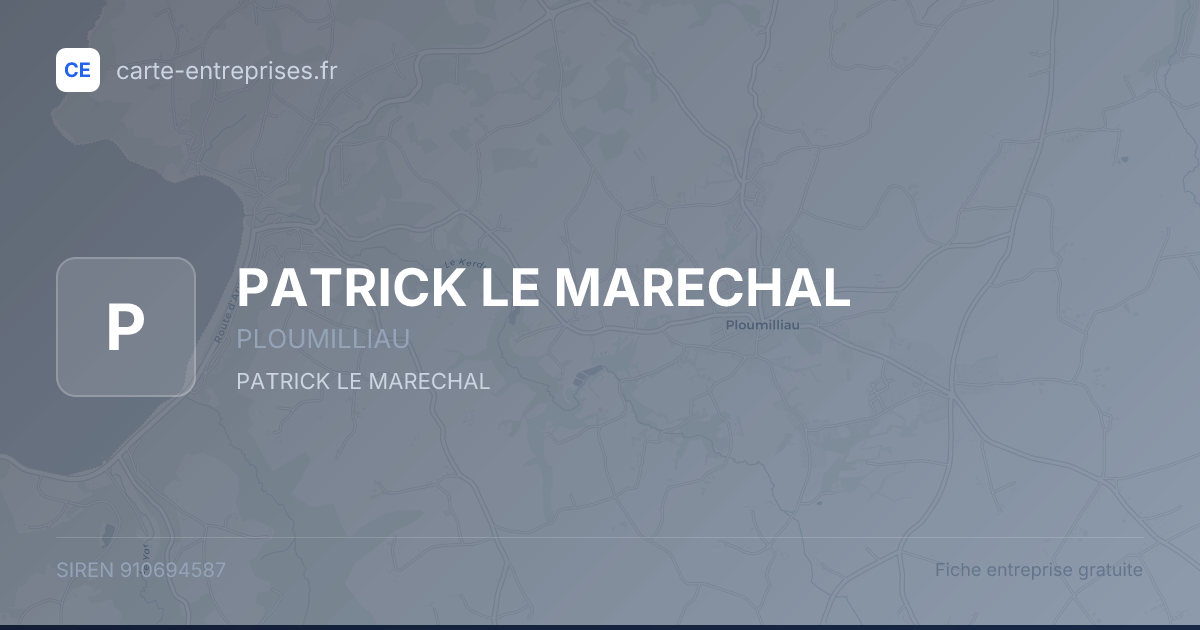 PATRICK LE MARECHAL — 910694587 — fiche entreprise
