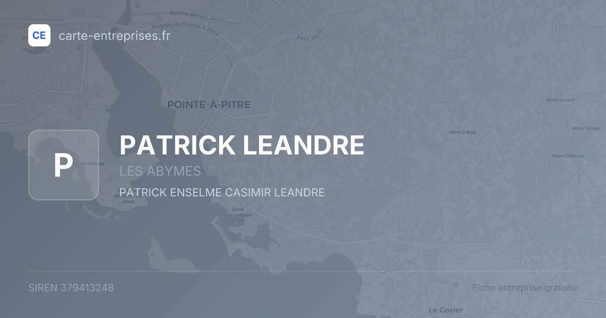 PATRICK LEANDRE — 379413248 — fiche entreprise