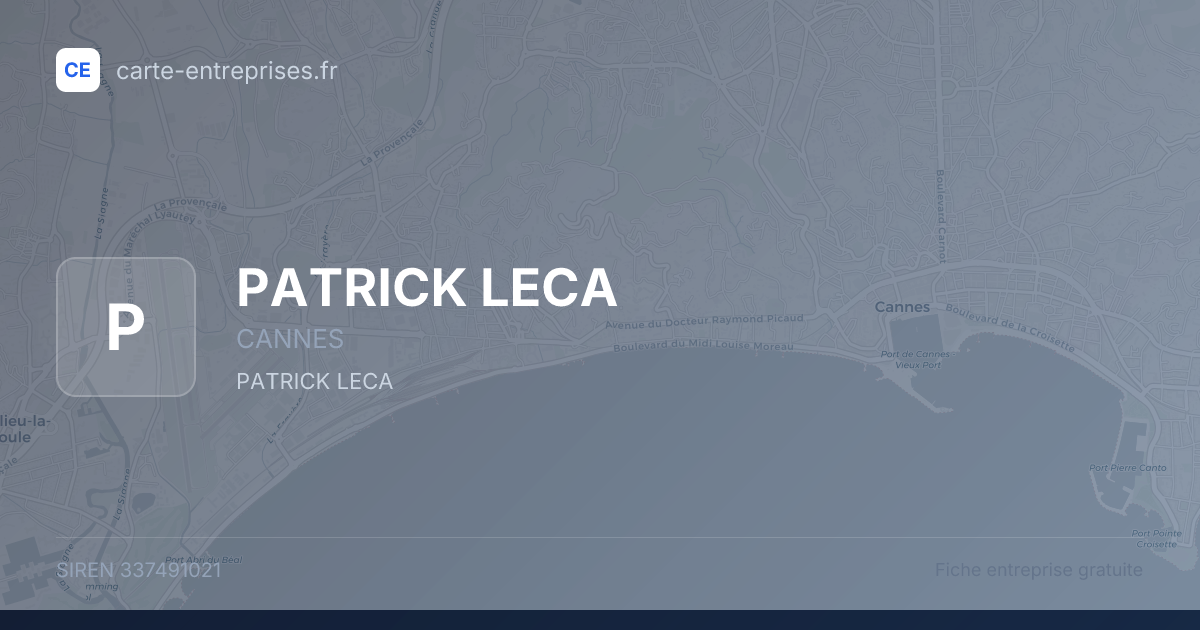 PATRICK LECA — 337491021 — fiche entreprise