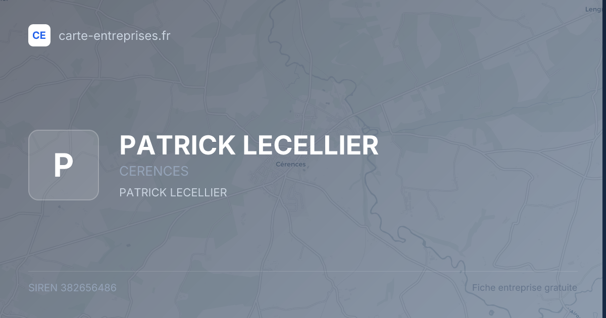 PATRICK LECELLIER — 382656486 — fiche entreprise
