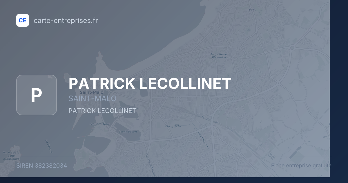 PATRICK LECOLLINET — 382382034 — fiche entreprise