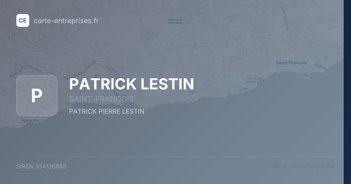 PATRICK LESTIN — 334136868 — fiche entreprise