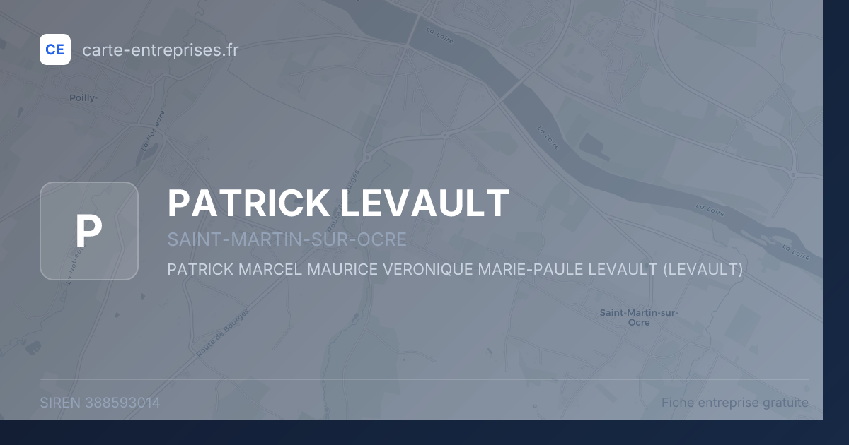 PATRICK LEVAULT — 388593014 — fiche entreprise