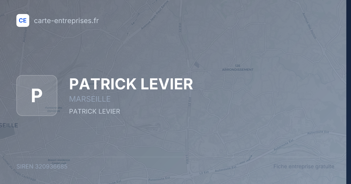PATRICK LEVIER — 320936685 — fiche entreprise