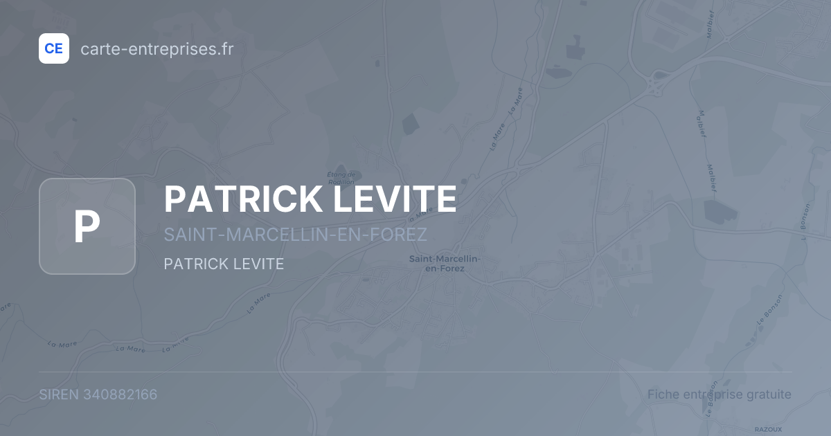 PATRICK LEVITE — 340882166 — fiche entreprise