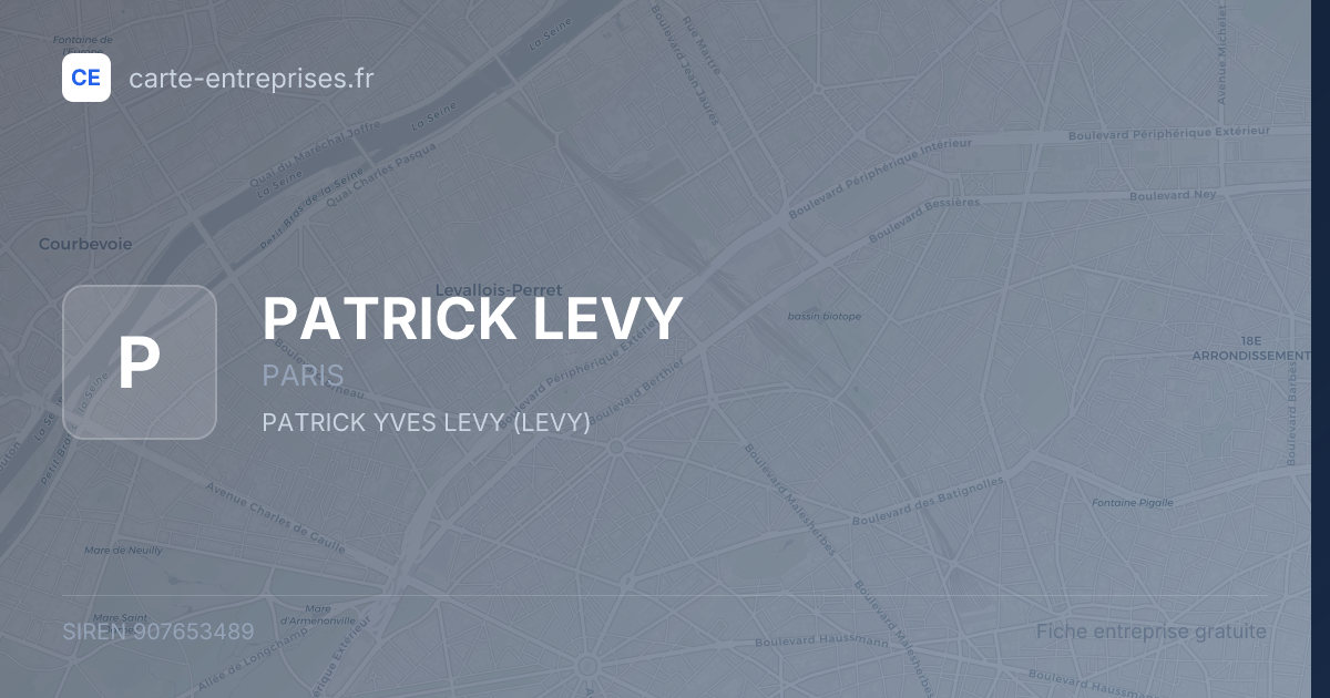PATRICK LEVY — 907653489 — fiche entreprise