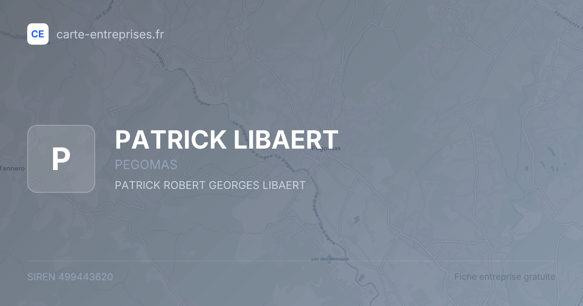 PATRICK LIBAERT — 499443620 — fiche entreprise