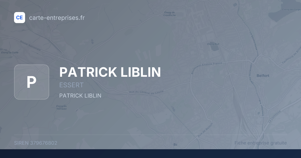 PATRICK LIBLIN — 379676802 — fiche entreprise