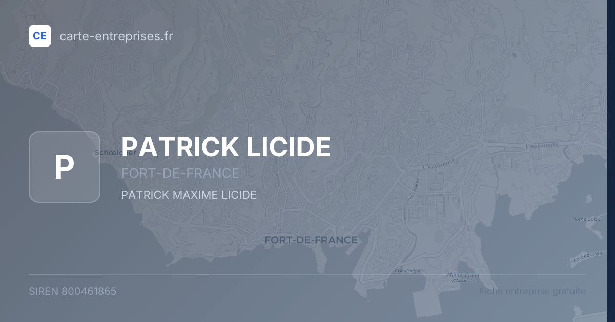 PATRICK LICIDE — 800461865 — fiche entreprise