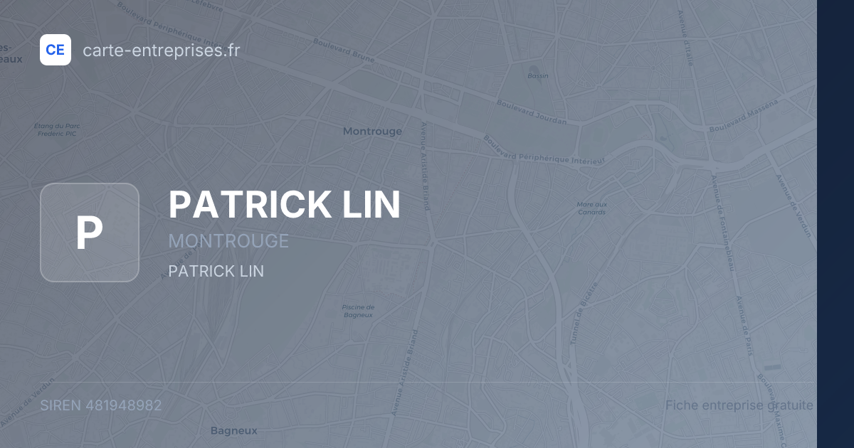 PATRICK LIN — 481948982 — fiche entreprise
