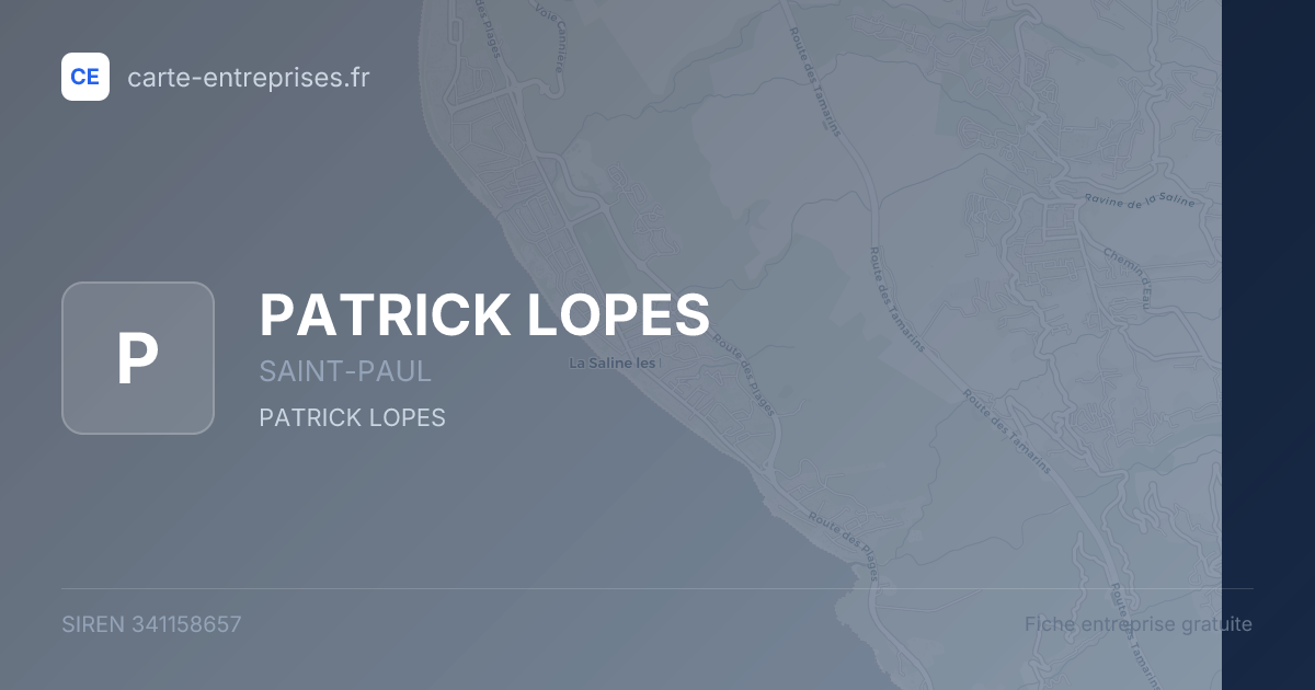PATRICK LOPES — 341158657 — fiche entreprise