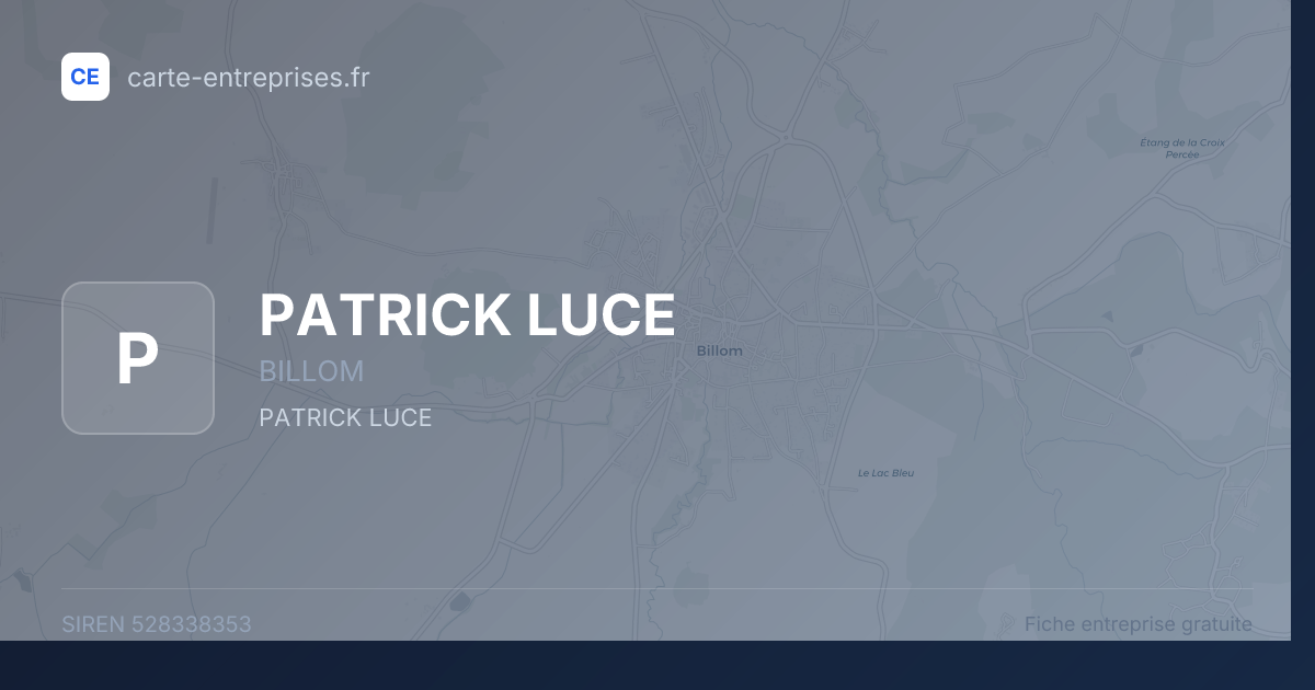 PATRICK LUCE — 528338353 — fiche entreprise