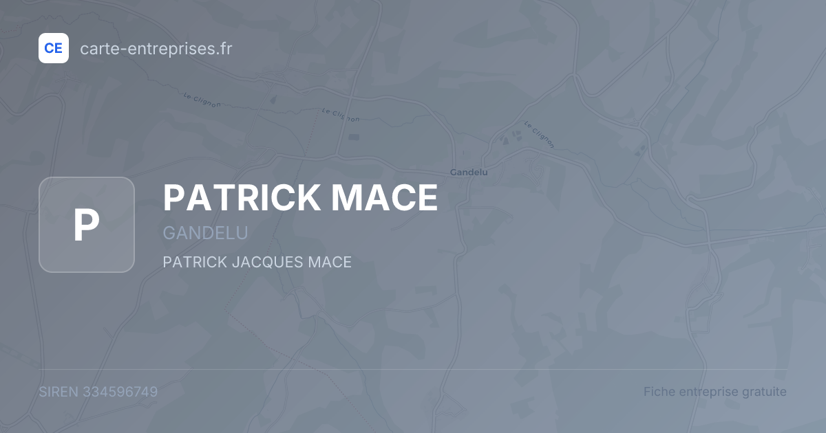 PATRICK MACE — 334596749 — fiche entreprise